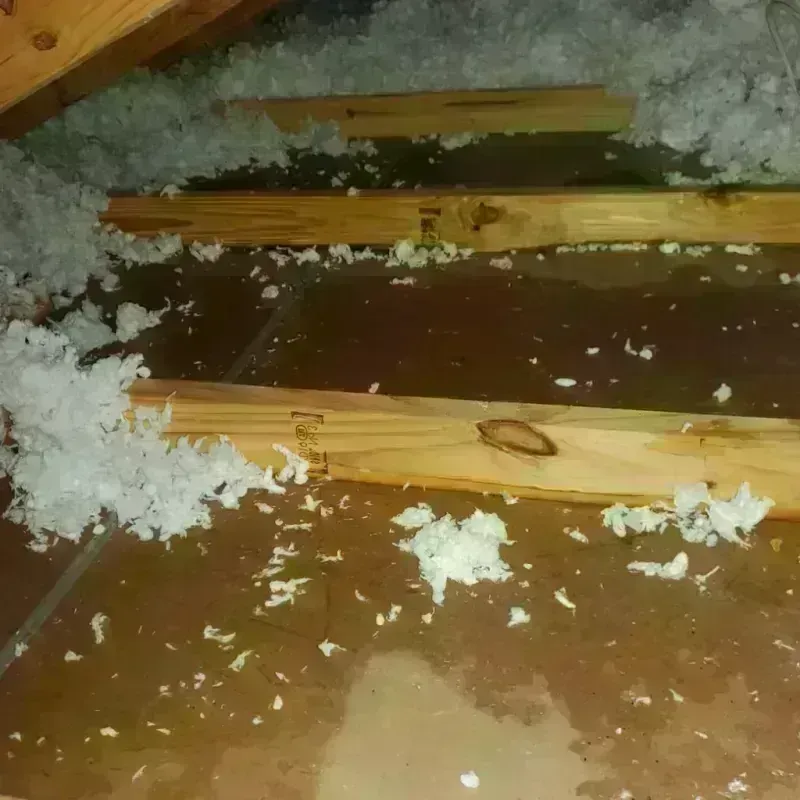 Attic Water Damage in Butler County, KS